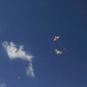 Meet your Posher, Janet